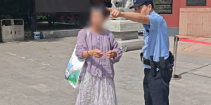 <?php the_title(); ?>