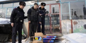 <?php the_title(); ?>