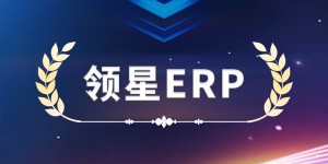 领星ERP荣获“灼耀之星”大奖，企业实力再获权威认可