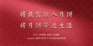 海洋美学X中秋团圆 | 艾玛琳燕窝月饼震撼发布​​