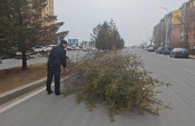 大树倒地拦路 民警紧急处置